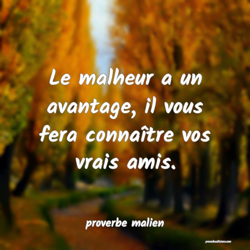  Le malheur a un avantage, il vous fera connaître vos vrais amis.