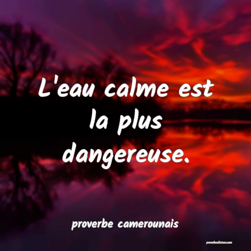  L'eau calme est la plus dangereuse.