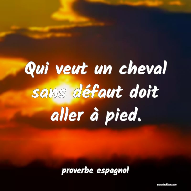  Qui veut un cheval sans défaut doit aller à pied.