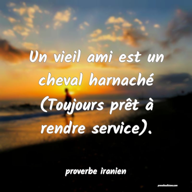  Un vieil ami est un cheval harnaché (Toujours prêt à rendre service).