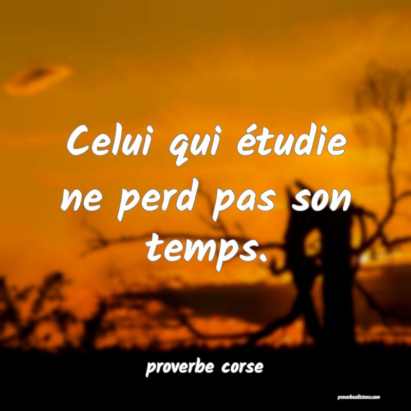  Celui qui étudie ne perd pas son temps.