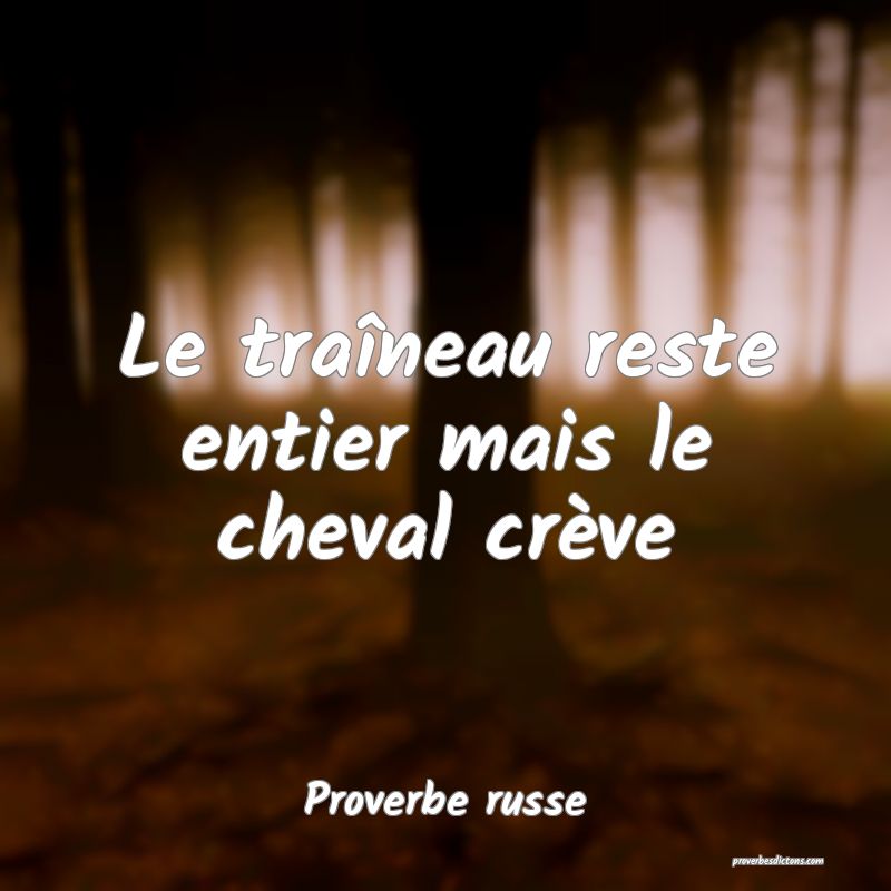  Le traîneau reste entier mais le cheval crève