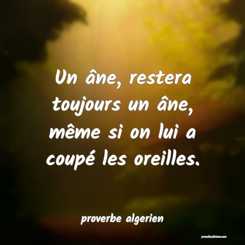  Un âne, restera toujours un âne, même si on lui a coupé les oreilles.