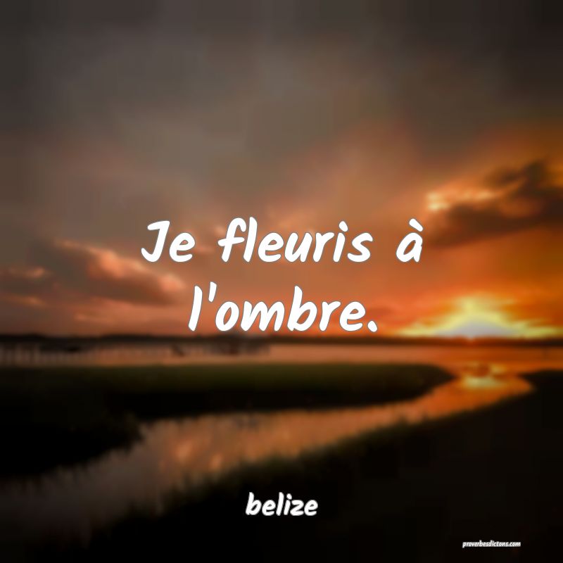  Je fleuris à l'ombre.