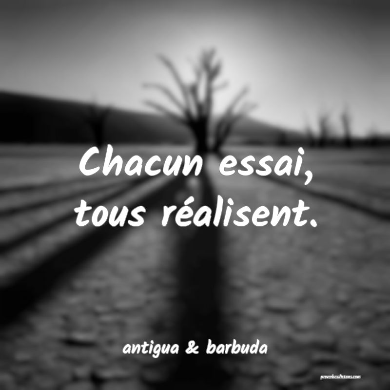  Chacun essai, tous réalisent.