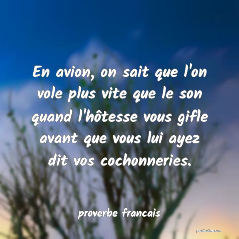  En avion, on sait que l'on vole plus vite que le son quand l'hôtesse vous gifle avant que vous lui ayez dit vos cochonneries.