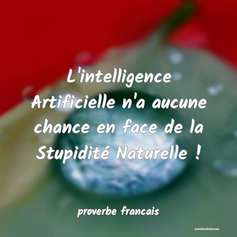  L'intelligence Artificielle n'a aucune chance en face de la Stupidité Naturelle !