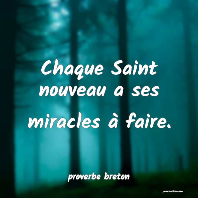  Chaque Saint nouveau a ses miracles à faire.