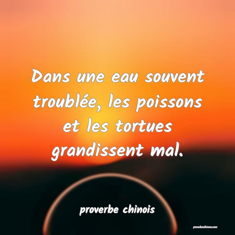  Dans une eau souvent troublée, les poissons et les tortues grandissent mal.