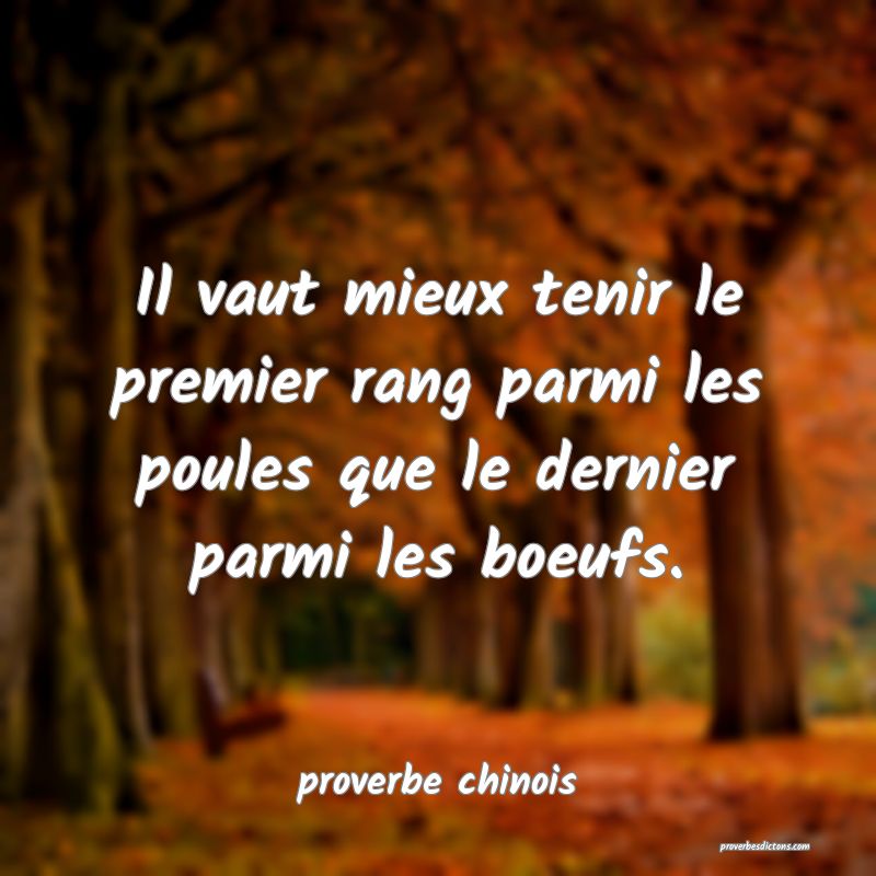  Il vaut mieux tenir le premier rang parmi les poules que le dernier parmi les boeufs.