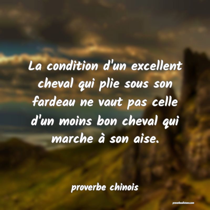  La condition d'un excellent cheval qui plie sous son fardeau ne vaut pas celle d'un moins bon cheval qui marche à son aise.