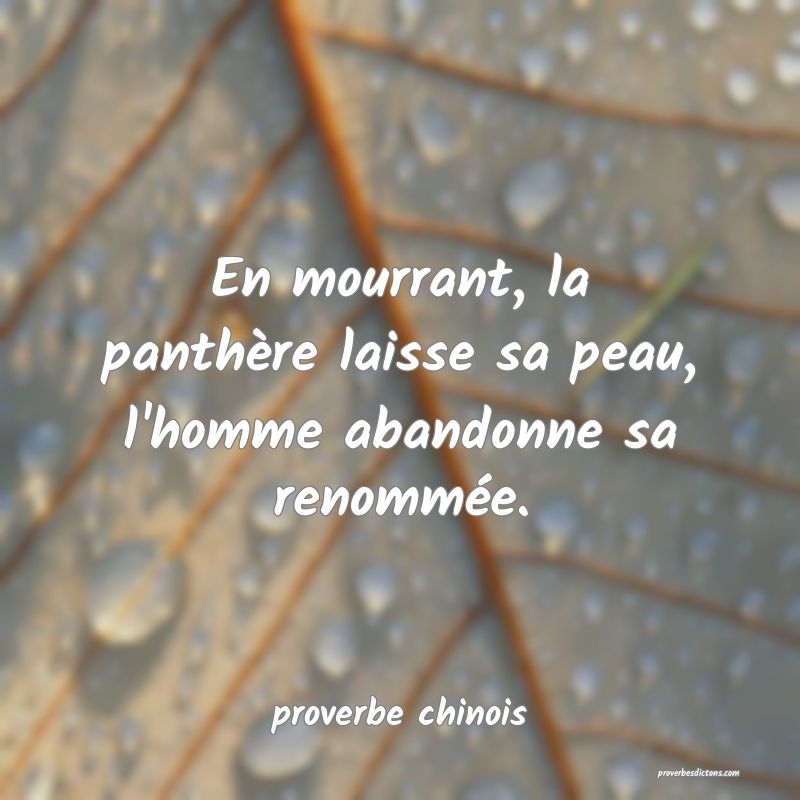 En mourrant, la panthère laisse sa peau, l'homme abandonne sa renommée.