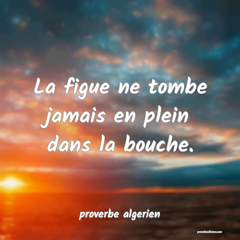  La figue ne tombe jamais en plein dans la bouche.