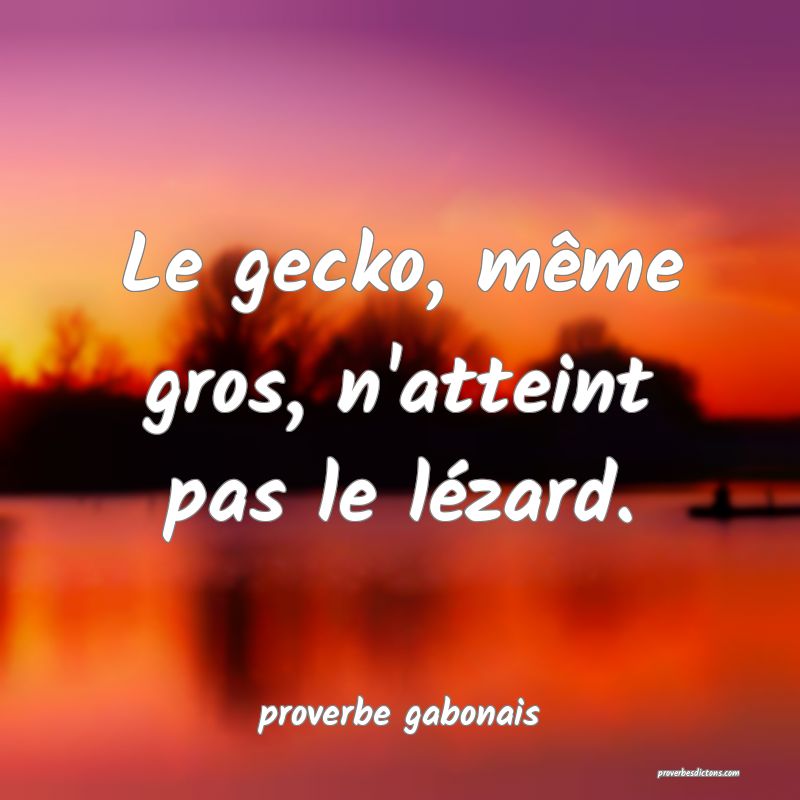  Le gecko, même gros, n'atteint pas le lézard.