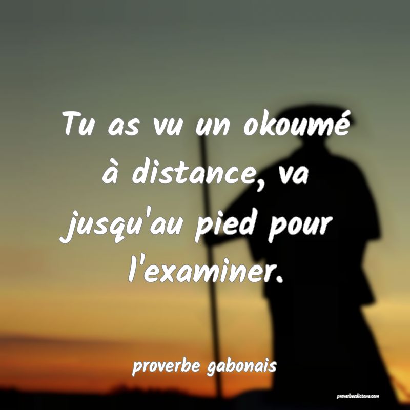  Tu as vu un okoumé à distance, va jusqu'au pied pour l'examiner.