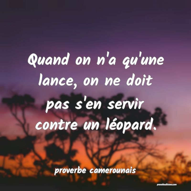  Quand on n'a qu'une lance, on ne doit pas s'en servir contre un léopard.