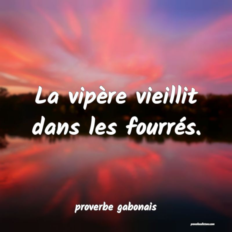  La vipère vieillit dans les fourrés.