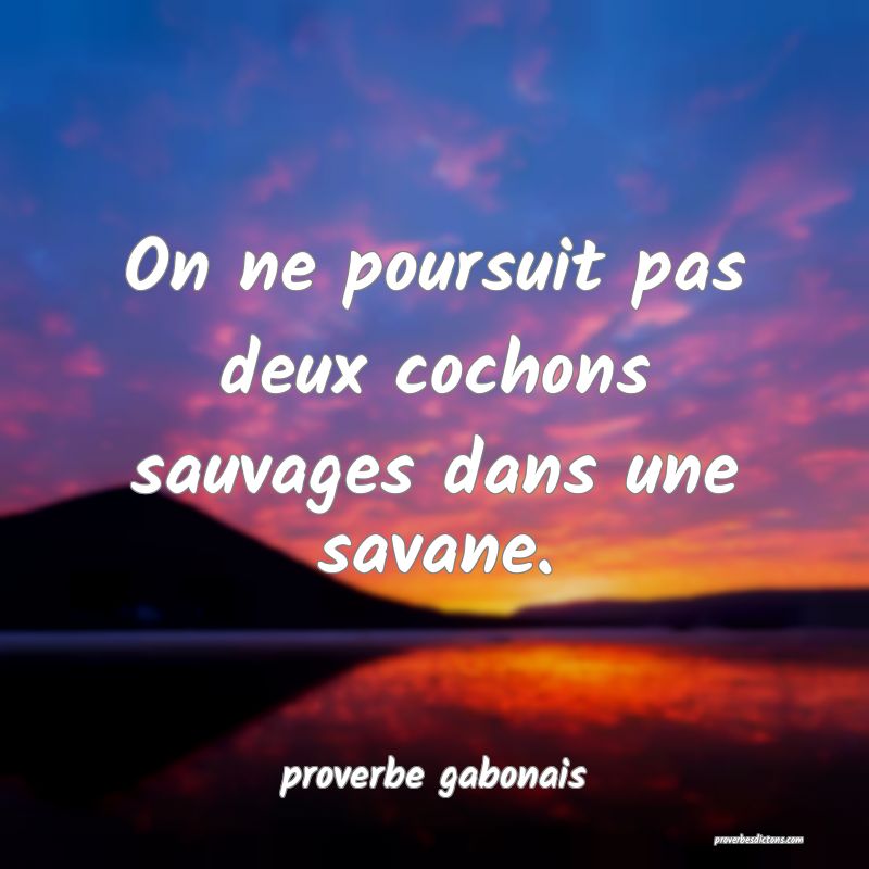  On ne poursuit pas deux cochons sauvages dans une savane.