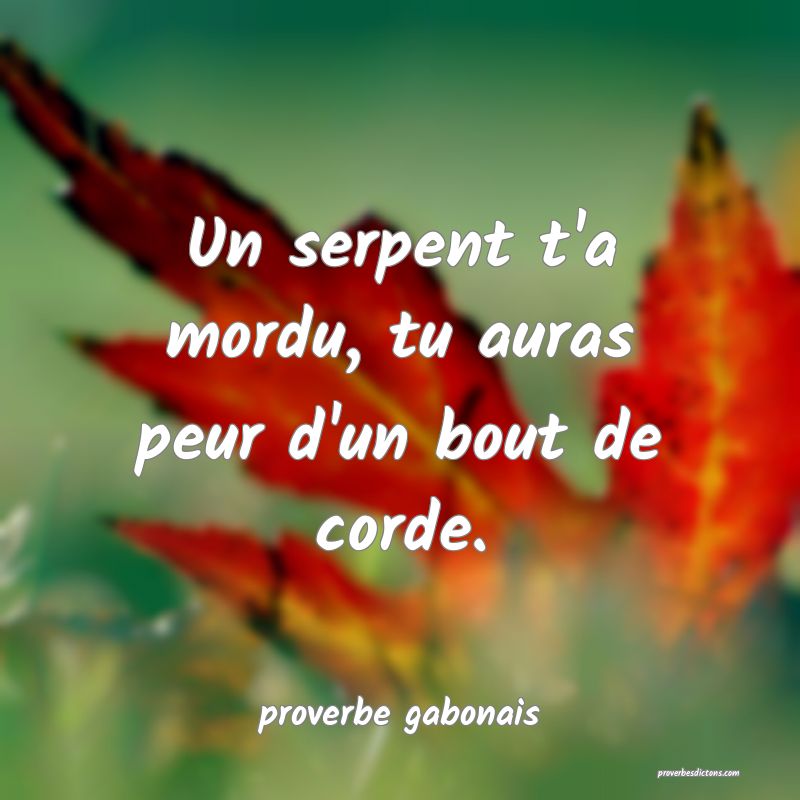Un serpent t'a mordu, tu auras peur d'un bout de corde.