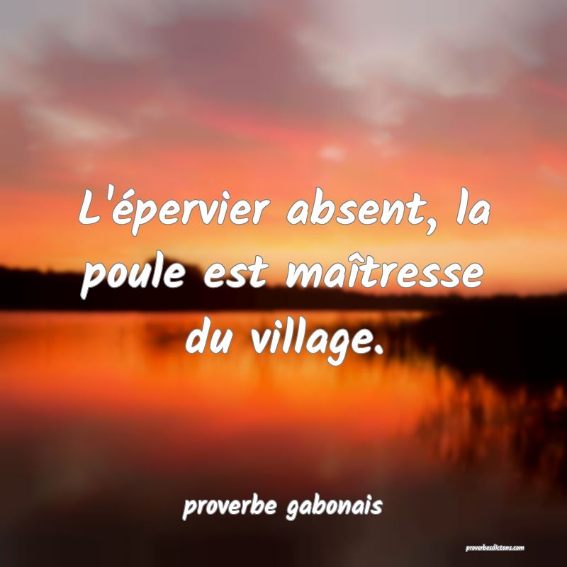 L'épervier absent, la poule est maîtresse du village.