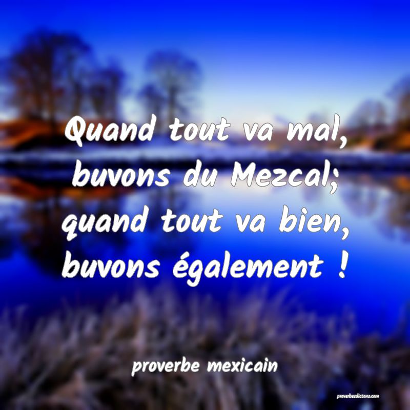  Quand tout va mal, buvons du Mezcal; quand tout va bien, buvons également !