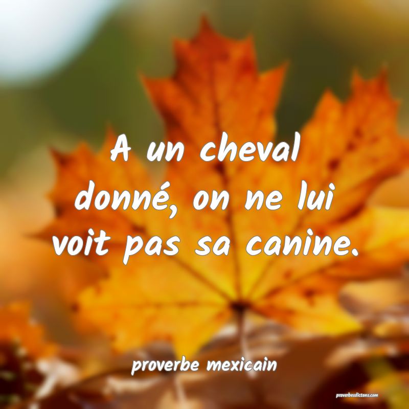  A un cheval donné, on ne lui voit pas sa canine.