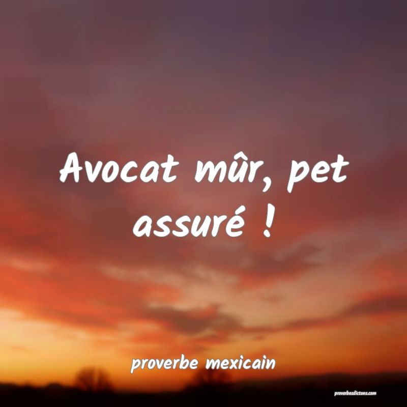  Avocat mûr, pet assuré !