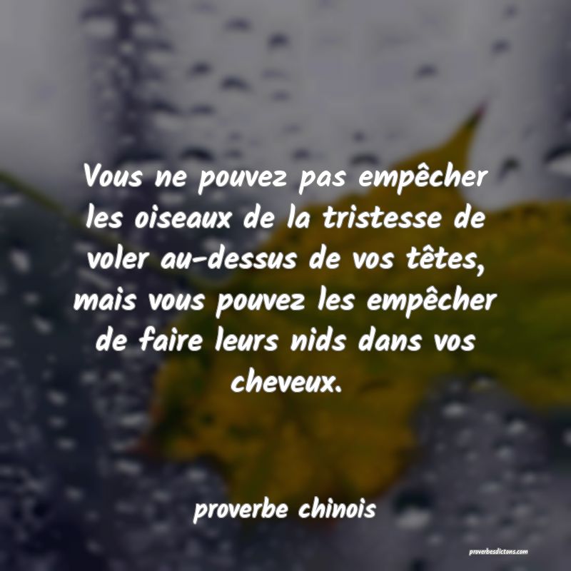  Vous ne pouvez pas empêcher les oiseaux de la tristesse de voler au-dessus de vos têtes, mais vous pouvez les empêcher de faire leurs nids dans vos cheveux.