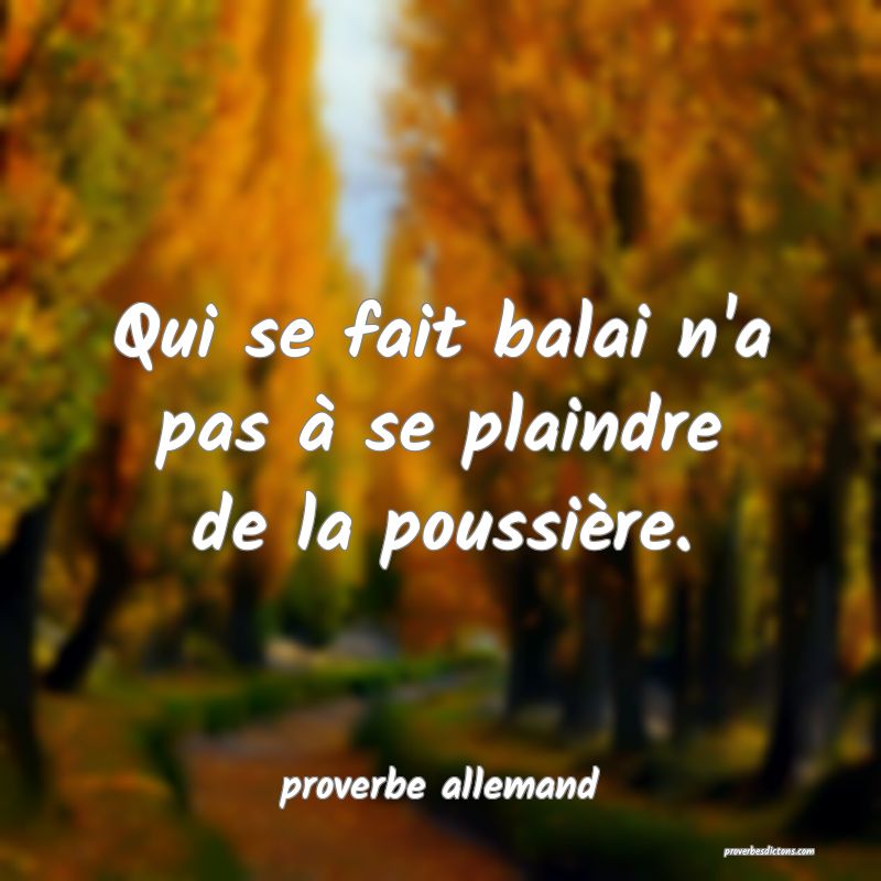  Qui se fait balai n'a pas à se plaindre de la poussière.