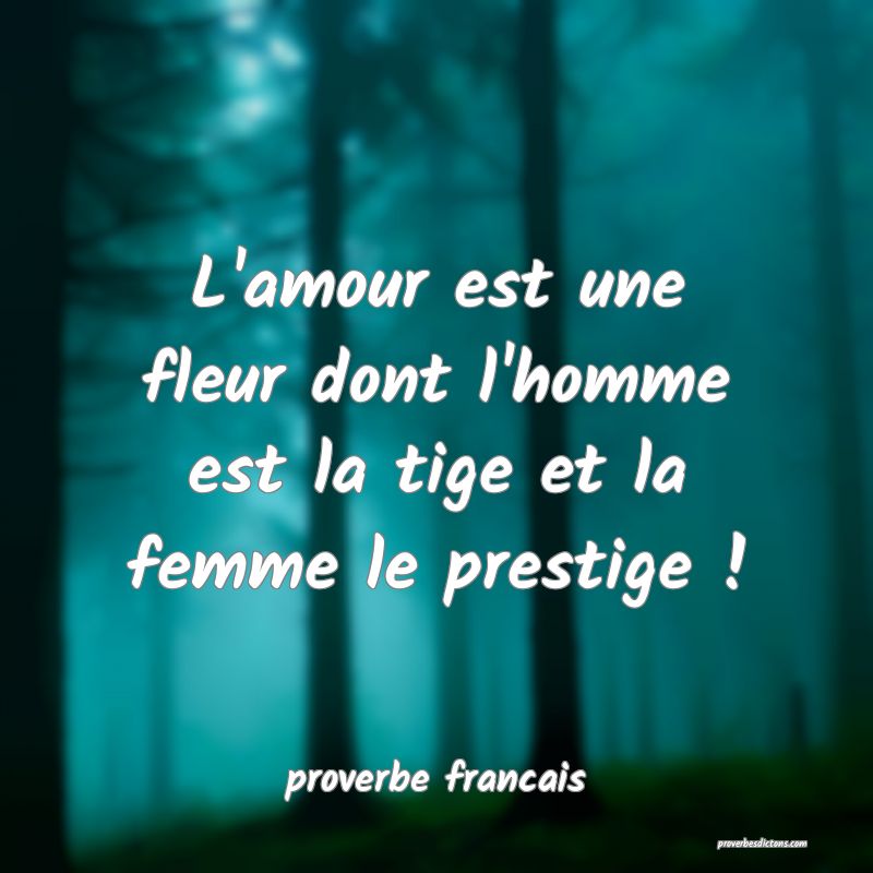  L'amour est une fleur dont l'homme est la tige et la femme le prestige !