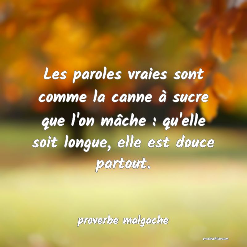 Les paroles vraies sont comme la canne à sucre que l'on mâche : qu'elle soit longue, elle est douce partout.