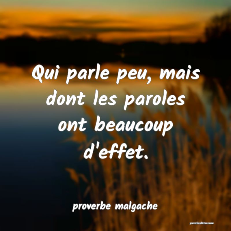  Qui parle peu, mais dont les paroles ont beaucoup d'effet.