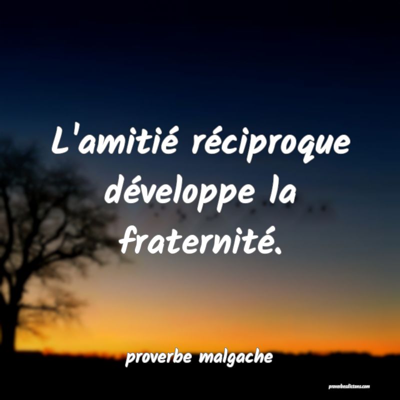  L'amitié réciproque développe la fraternité.