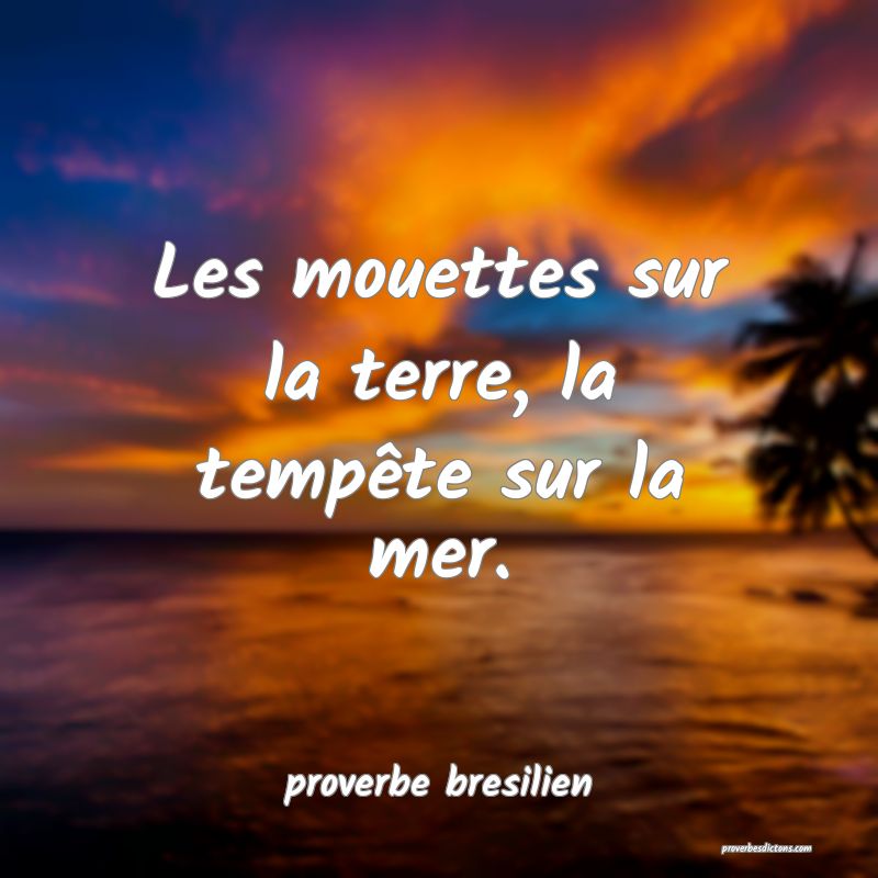  Les mouettes sur la terre, la tempête sur la mer.