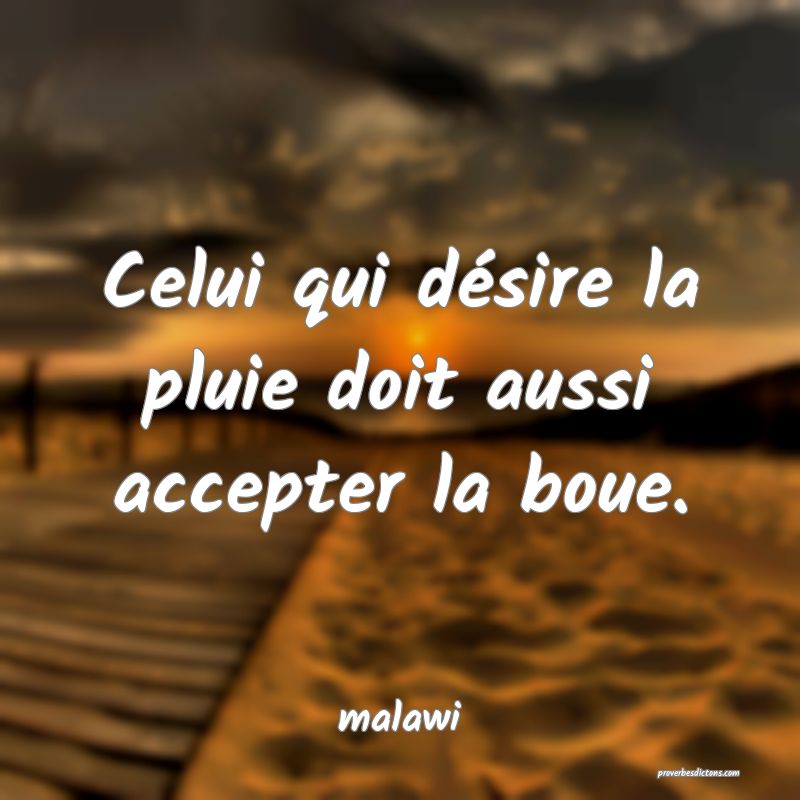  Celui qui désire la pluie doit aussi accepter la boue.