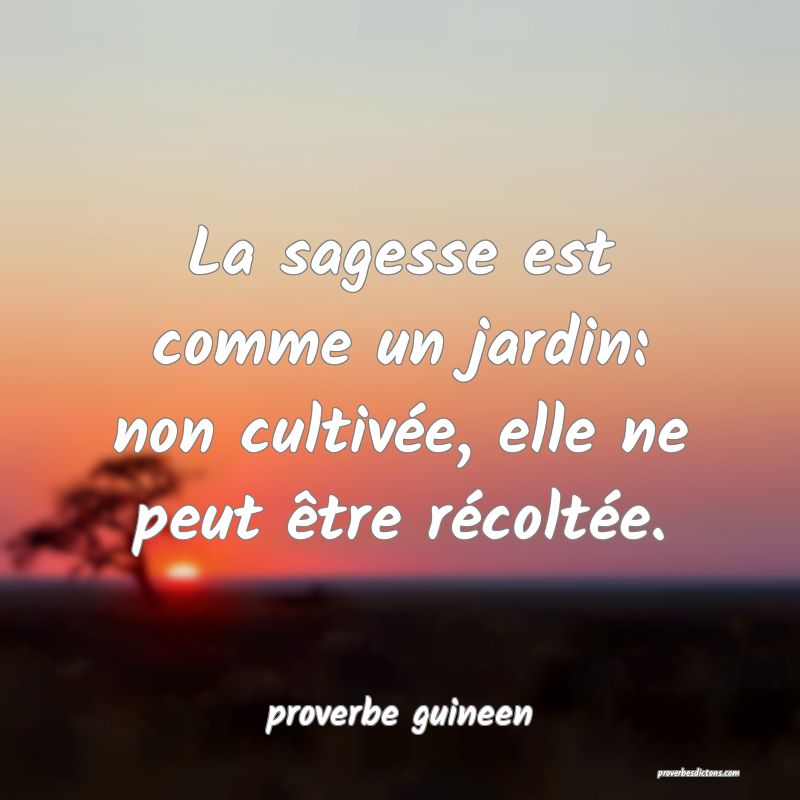  La sagesse est comme un jardin: non cultivée, elle ne peut être récoltée.