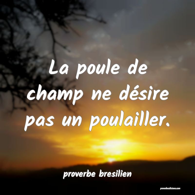  La poule de champ ne désire pas un poulailler.