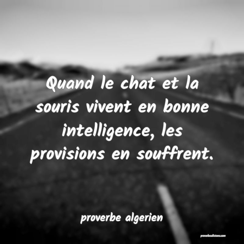  Quand le chat et la souris vivent en bonne intelligence, les provisions en souffrent.