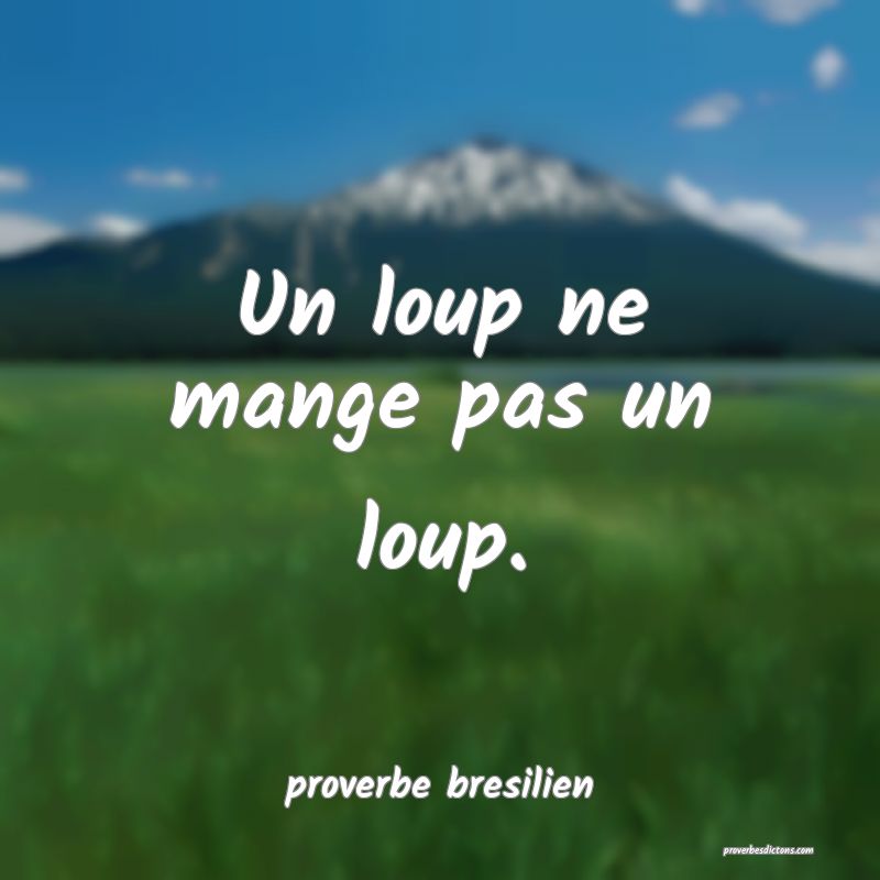  Un loup ne mange pas un loup.