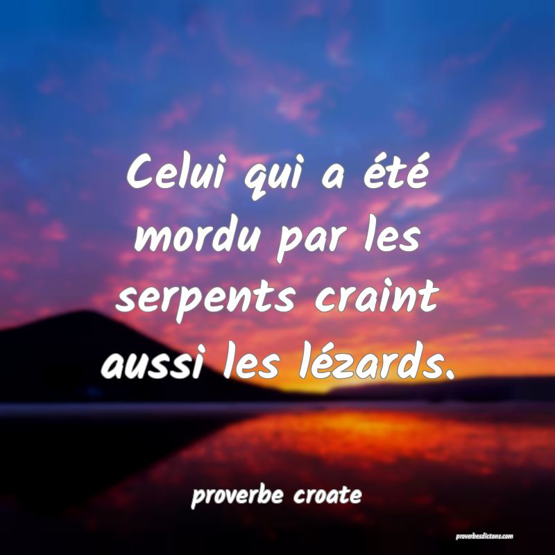  Celui qui a été mordu par les serpents craint aussi les lézards.