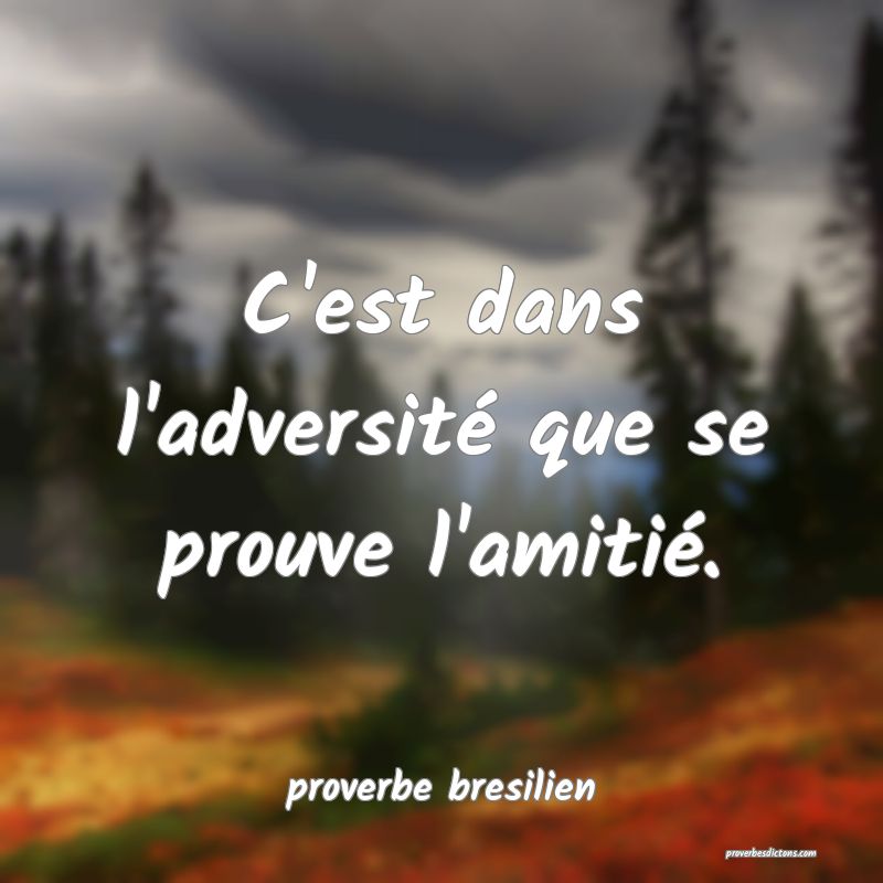  C'est dans l'adversité que se prouve l'amitié.
