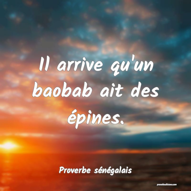  Il arrive qu'un baobab ait des épines.