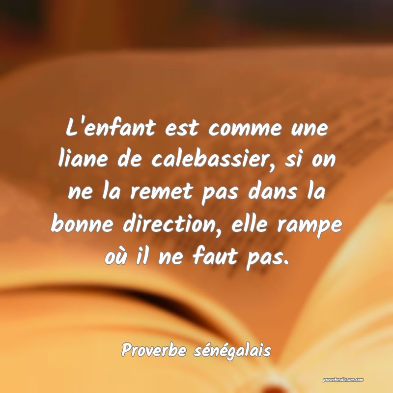  L'enfant est comme une liane de calebassier, si on ne la remet pas dans la bonne direction, elle rampe où il ne faut pas.