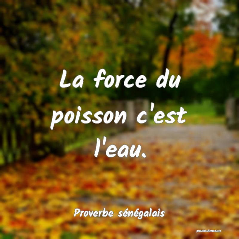  La force du poisson c'est l'eau.