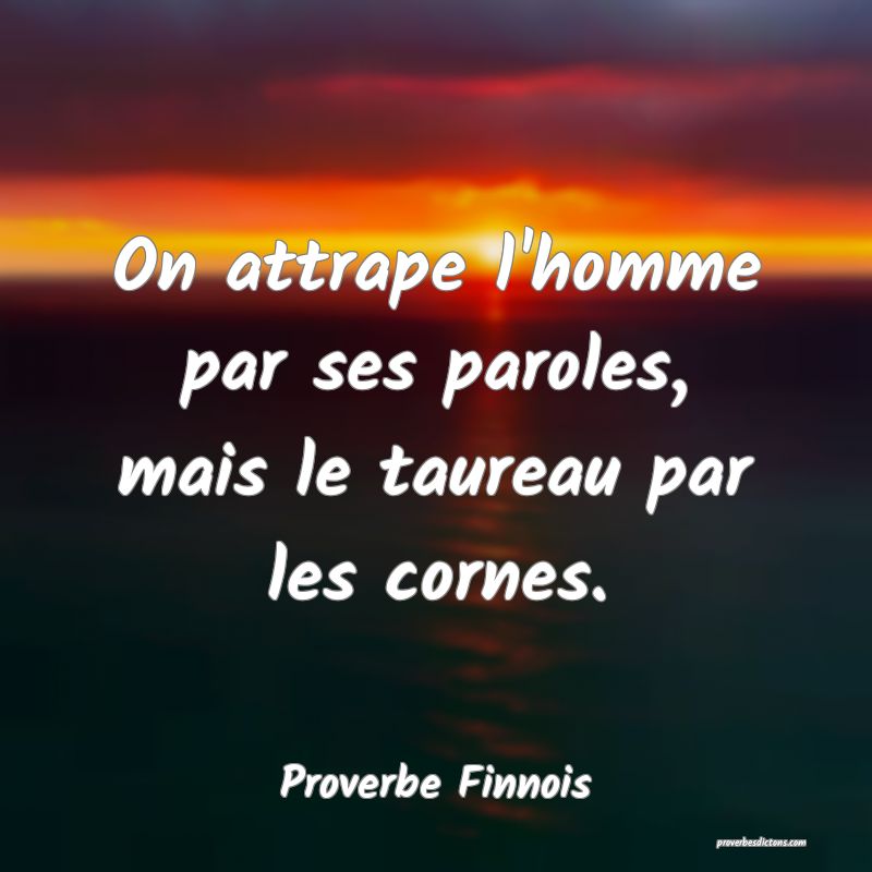  On attrape l'homme par ses paroles, mais le taureau par les cornes.