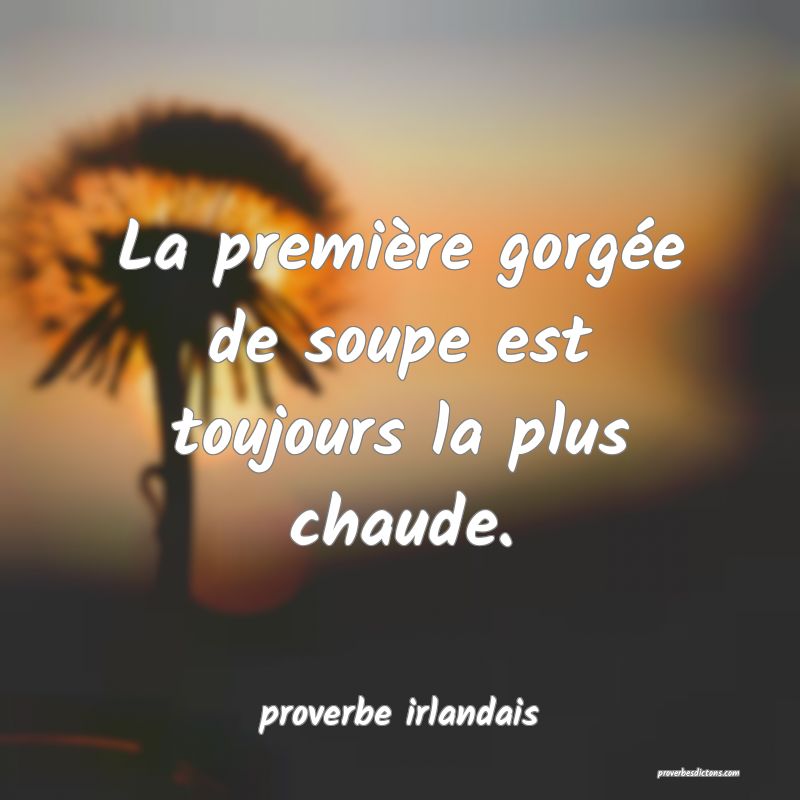  La première gorgée de soupe est toujours la plus chaude.