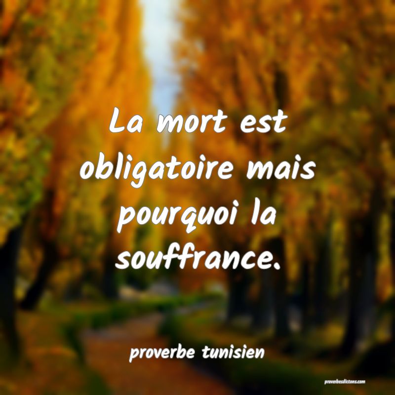  La mort est obligatoire mais pourquoi la souffrance.