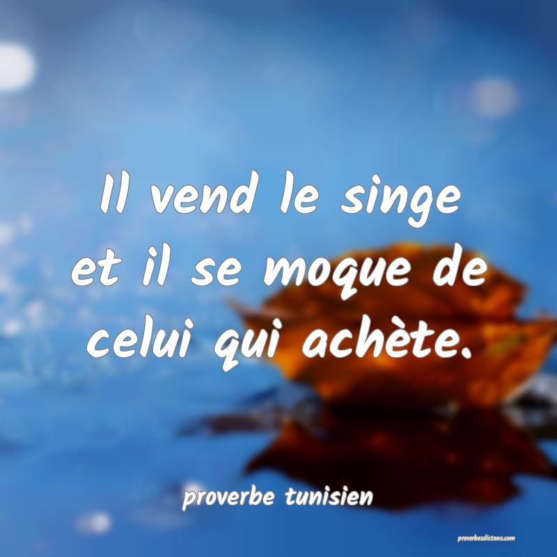  Il vend le singe et il se moque de celui qui achète.