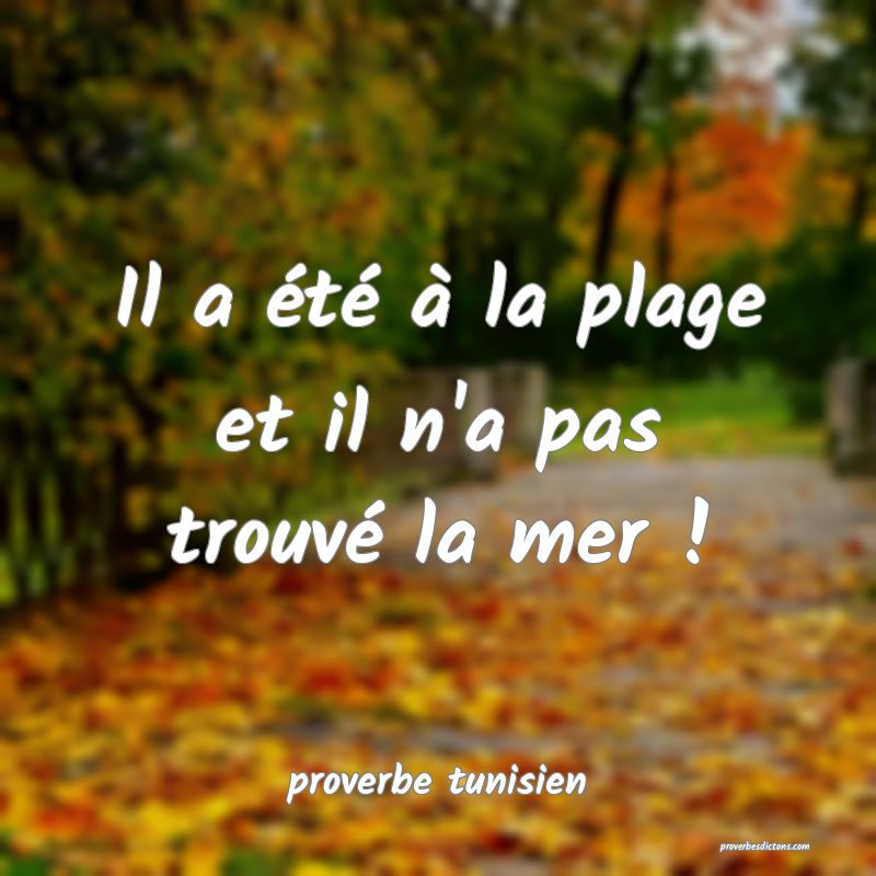  Il a été à la plage et il n'a pas trouvé la mer !