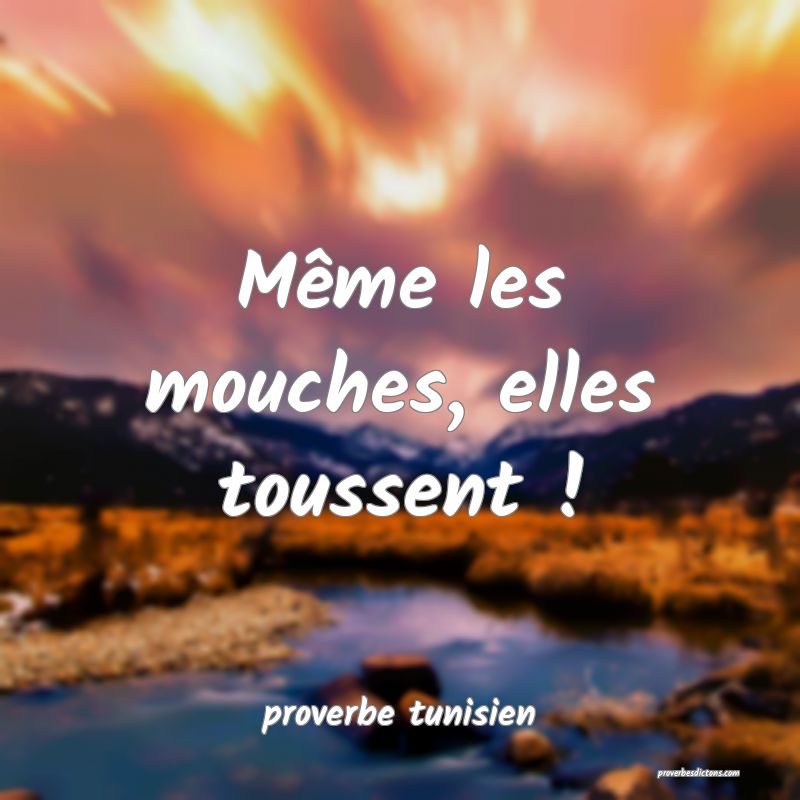  Même les mouches, elles toussent !